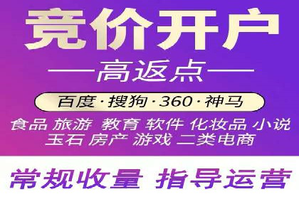 SEM竞价实战技巧，案例讲解与应用